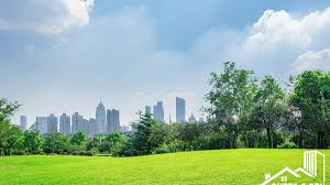 Profile Photo of professiona;